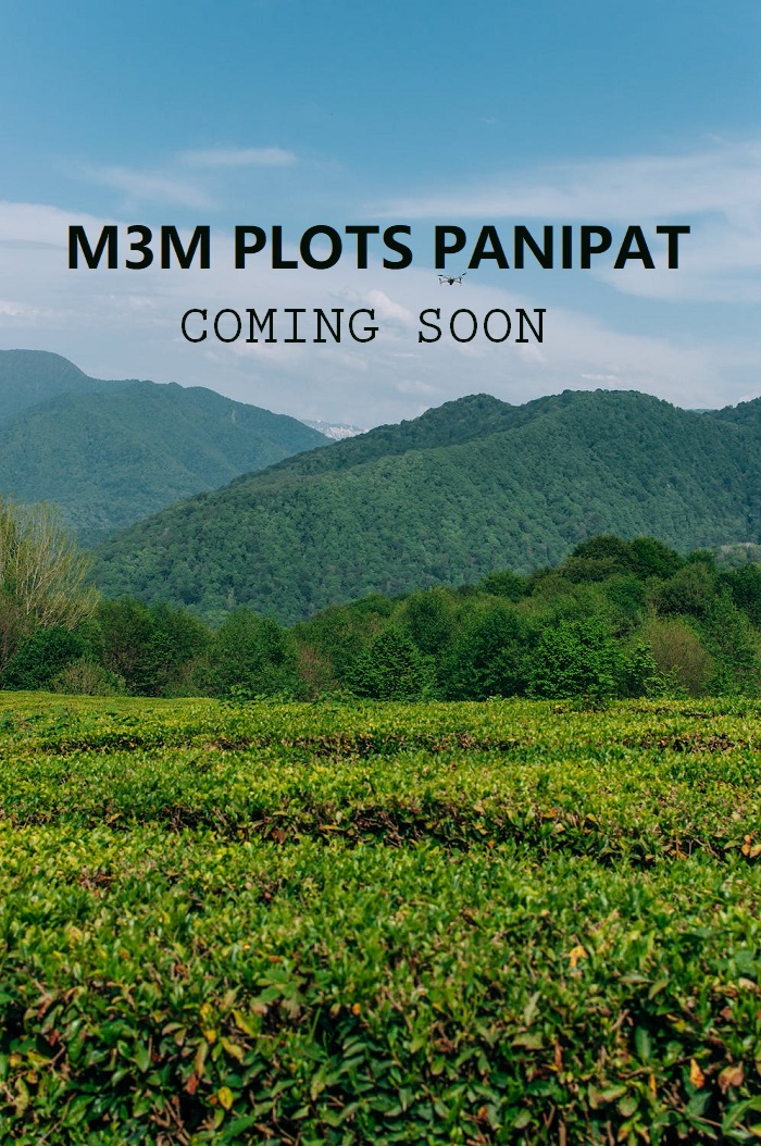 M3M panipat